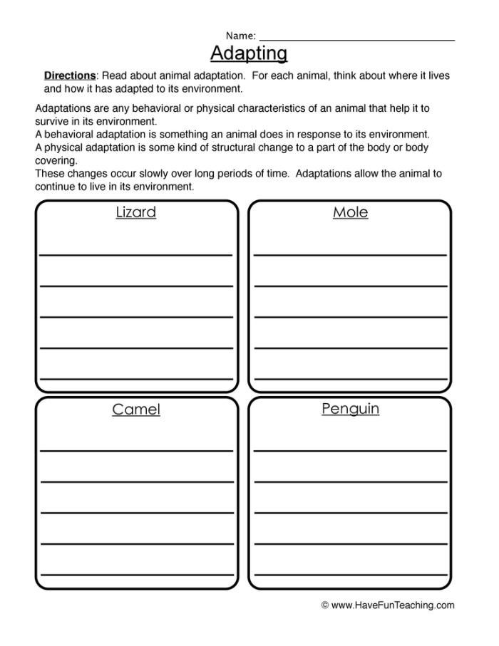 Second grade students sorting animal adaptations into behavioral and physical categories on a cut and paste worksheet