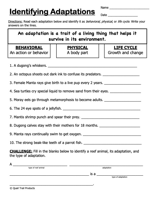 Cut and paste activity page for sorting behavioral and physical animal adaptations for second grade