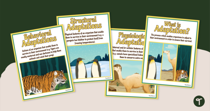 Second grade worksheet showing cut-and-paste activities for sorting behavioral and physical animal adaptations