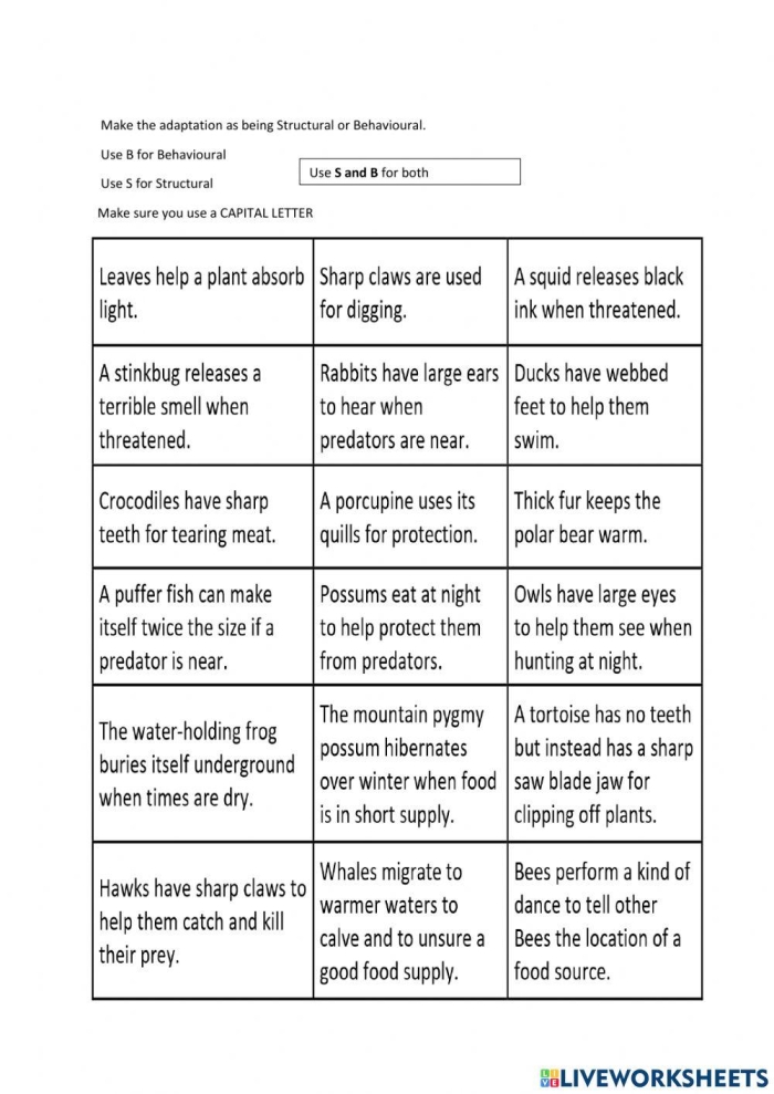 Second grade students sorting behavioral and physical animal adaptations on a cut and paste worksheet