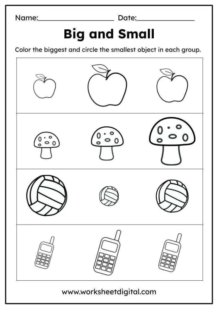 Worksheet featuring various items to help kids identify big and small objects