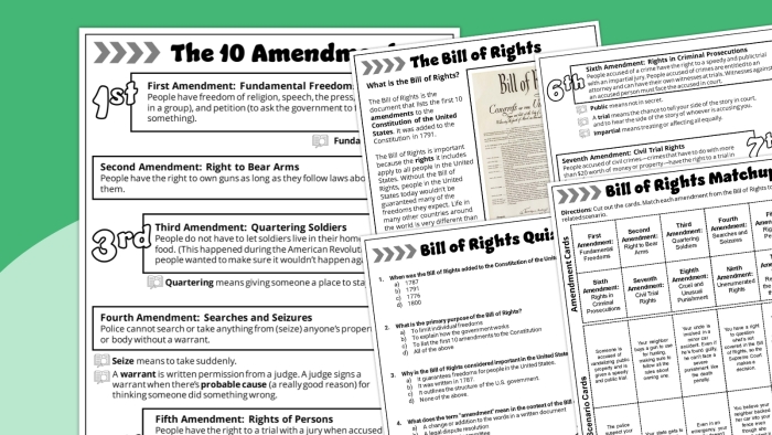 The First Ten Amendments: Description Match-Up worksheet for Fifth Grade