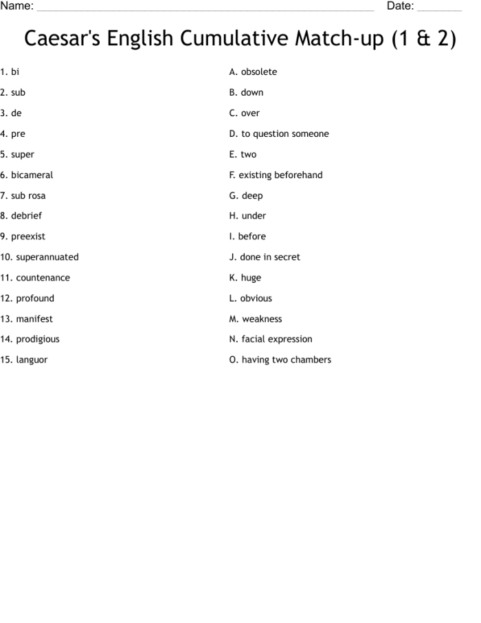 Fifth grade student completing a matching worksheet activity for the Bill of Rights