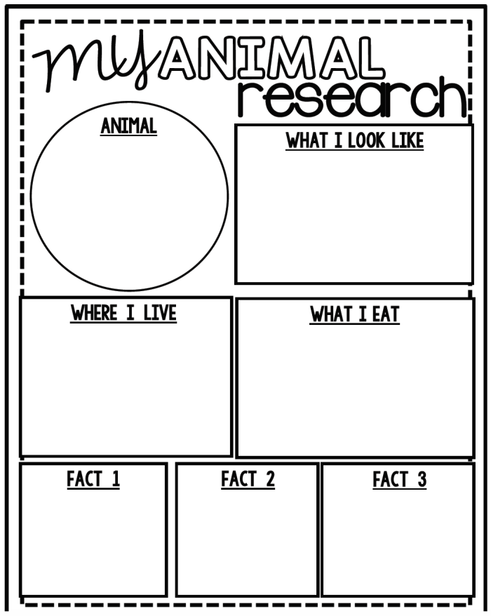 Graphic organizer template for third grade biography research planning with sections for subject information
