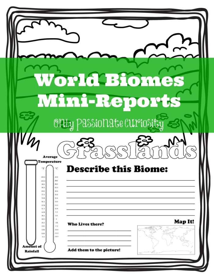 Biomes of the World worksheet map activity for fourth grade geography Fourth grade geography worksheet showing a labeled map of global terrestrial biomes for student exercises