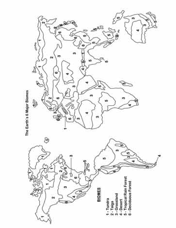 Biomes of the World worksheet number twenty-one for fourth grade geography study Fourth grade geography worksheet showing a labeled map of terrestrial biomes for student practice