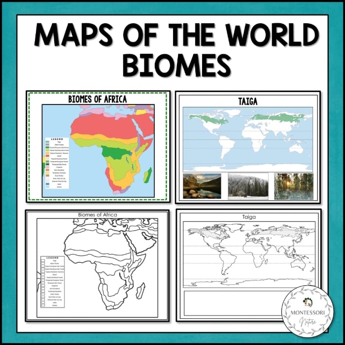 Biomes of the World Geography Worksheet Number 23 Fourth grade geography worksheet featuring a colorful map of terrestrial biomes to label and study