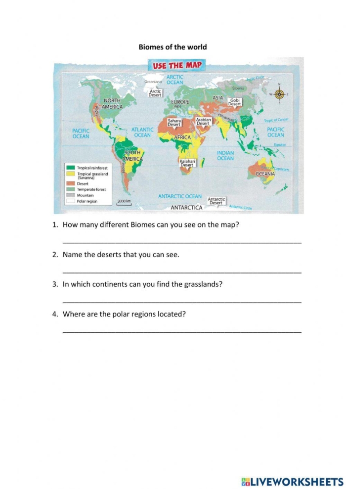 Biomes of the World Map - Fourth Grade Geography Worksheet 24 World terrestrial biomes map showing different climate zones and ecosystems across continents for fourth grade geography study