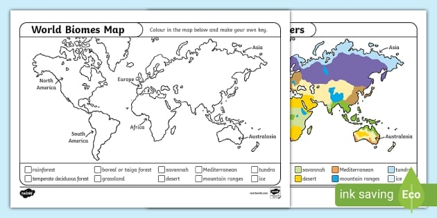 Biomes of the World Worksheet 15 Geography Activity Fourth grade geography worksheet featuring a color-coded map of global terrestrial biomes with related study questions