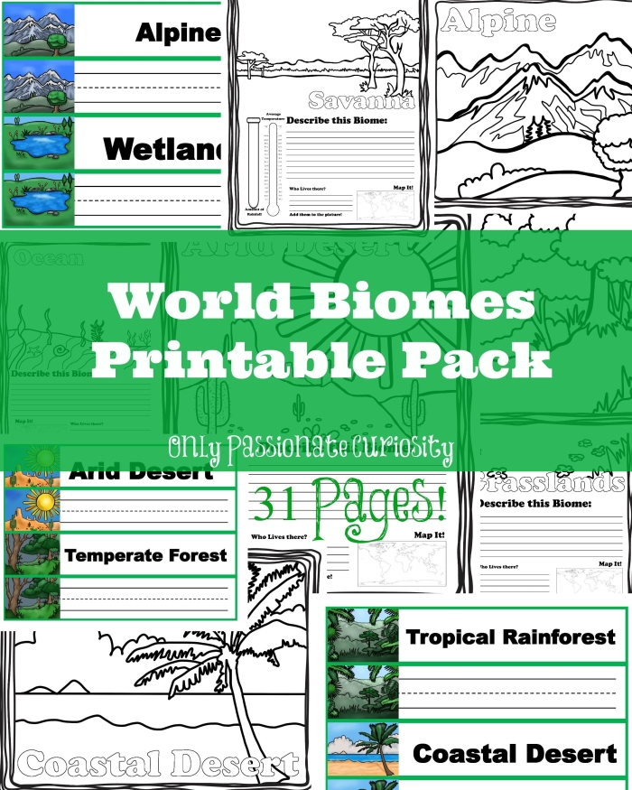 Biomes of the World Map Reference Image 25 World terrestrial biomes map showing different climate zones and ecosystems for fourth grade geography study