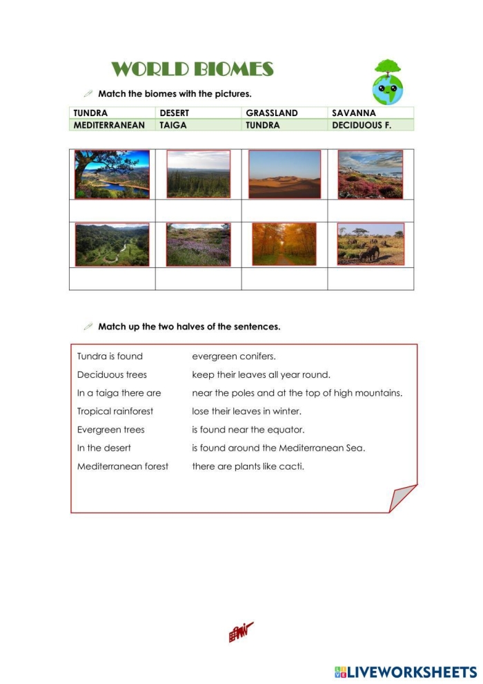 Biomes of the World Map - Image 5 Geography Worksheet World terrestrial biomes map showing different climate zones and vegetation regions for fourth grade geography study
