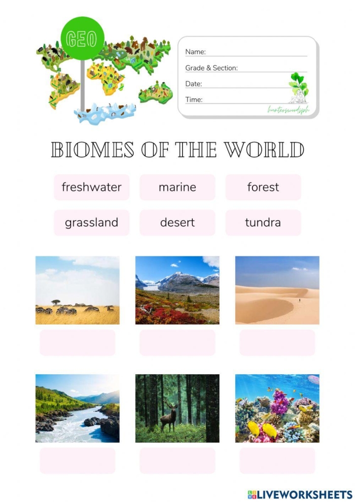 Biomes of the World worksheet map activity number thirteen Fourth grade geography worksheet showing a labeled map of terrestrial biomes for student exercises