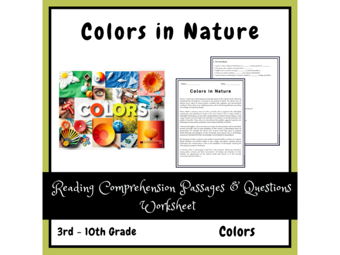 Informational reading comprehension worksheet on biomimicry for sixth graders focusing on nature's designs. Explore the connections between trains and birds in this engaging activity.