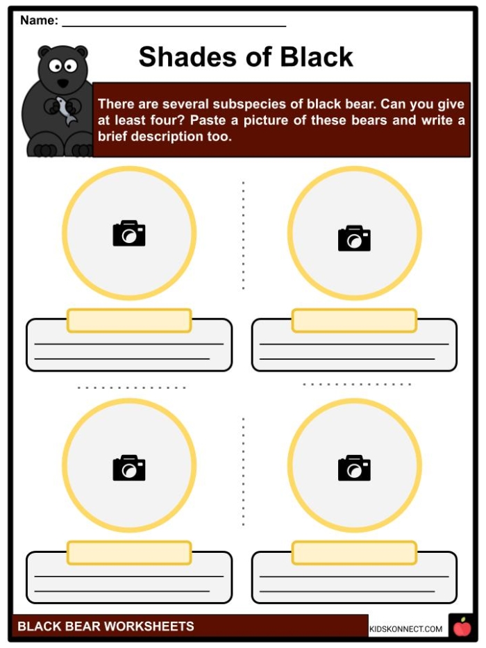 Black Bear worksheet for third graders exploring Yellowstone National Park