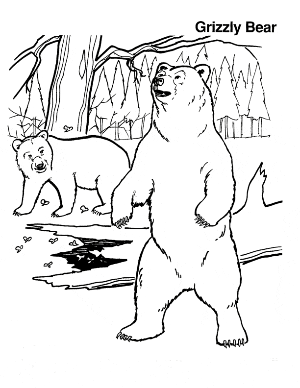 Third grade life science worksheet featuring a black bear illustration from Yellowstone National Park