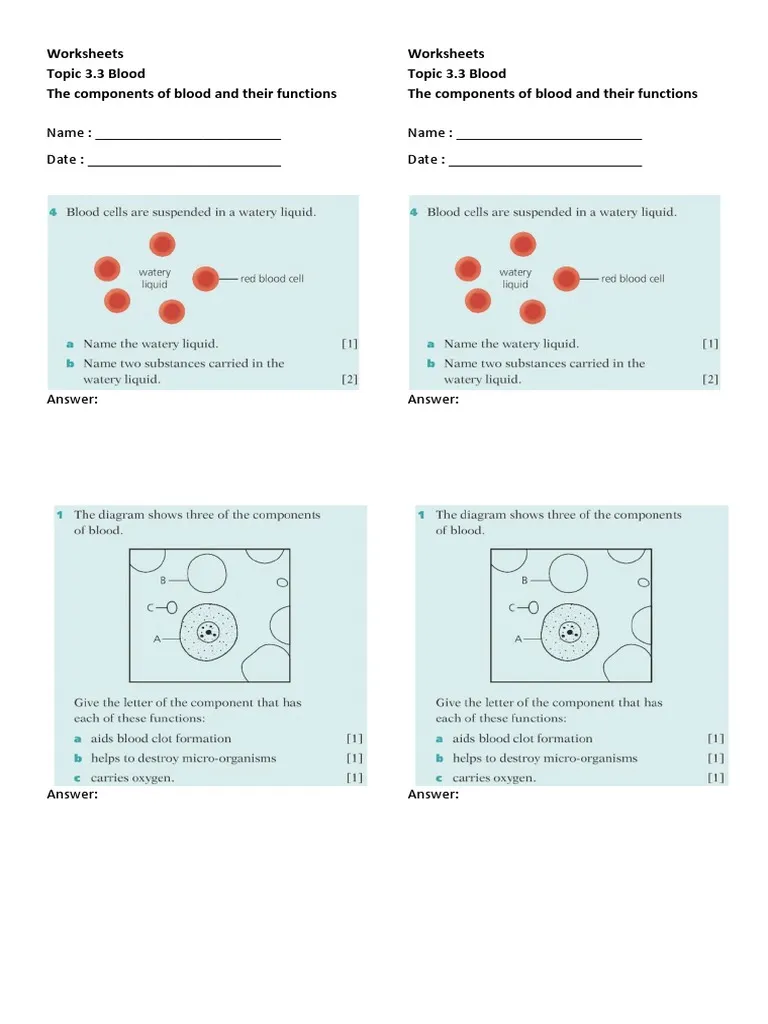 Fourth grade science worksheet illustrating the different components of human blood