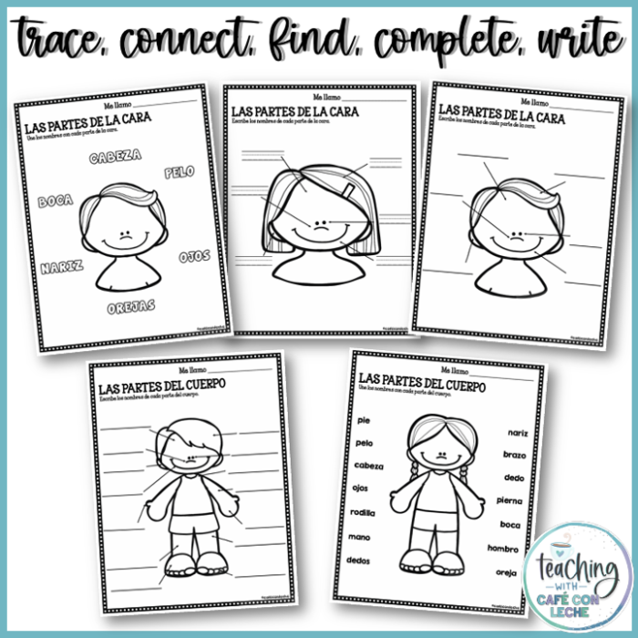 Engaging body parts in Spanish activity worksheet for students Fill-in-the-blanks worksheet for learning body parts in Spanish for fourth graders