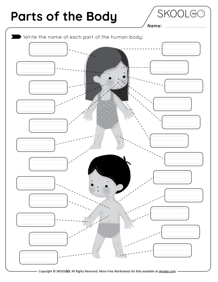 Worksheet for labeling body parts to enhance reading skills in Kindergarten students