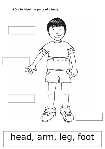 Kindergarten student completing a label the body parts reading worksheet
