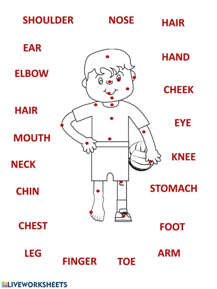 Kindergarten student worksheet for labeling human body parts with alphabet practice