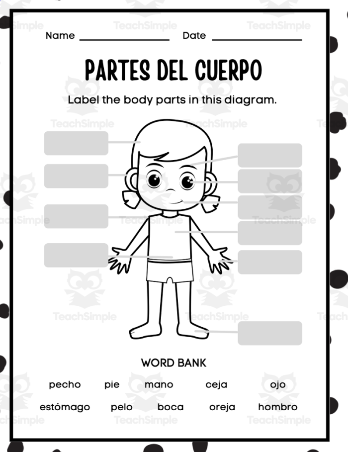 Educational resource for learning Spanish vocabulary related to body parts Fill-in-the-blanks worksheet featuring body parts in Spanish for fourth graders