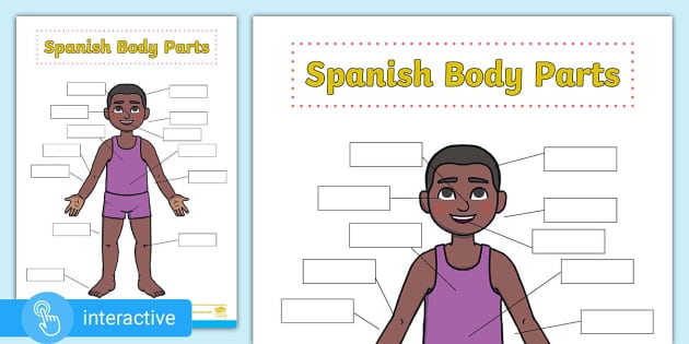 Body Parts in Spanish Worksheet for Fourth Grade Students Worksheet for learning body parts in Spanish with fill-in-the-blanks exercises