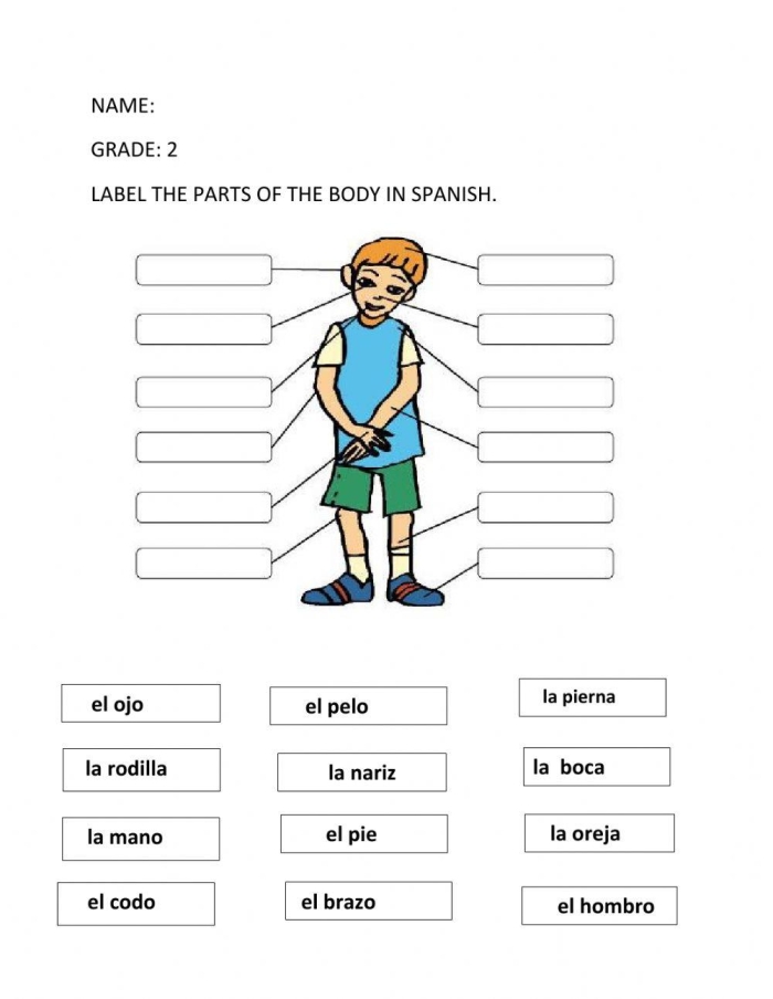 Educational fill-in-the-blanks worksheet on body parts in Spanish for fourth graders Worksheet featuring body parts in Spanish for students to fill in the blanks