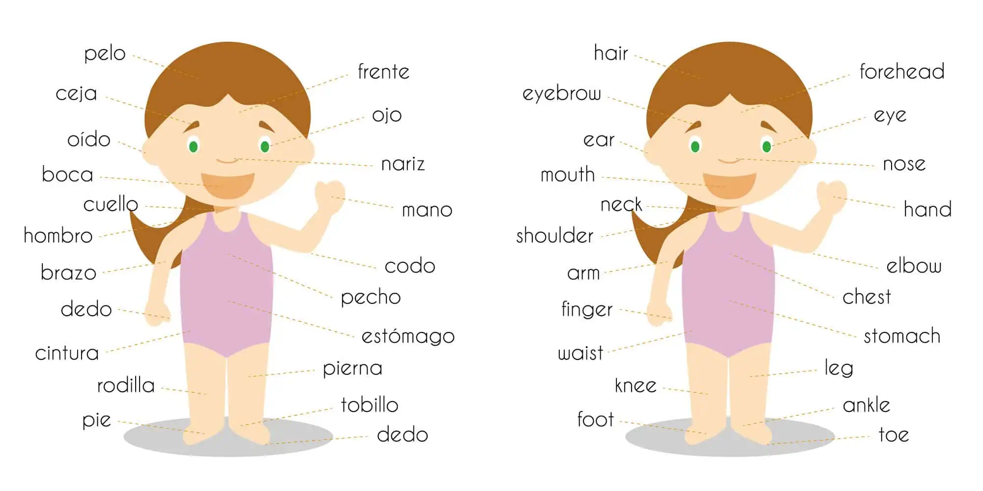 Interactive worksheet to reinforce vocabulary on body parts in Spanish for fourth graders Worksheet for learning body parts in Spanish with fill-in-the-blank exercises