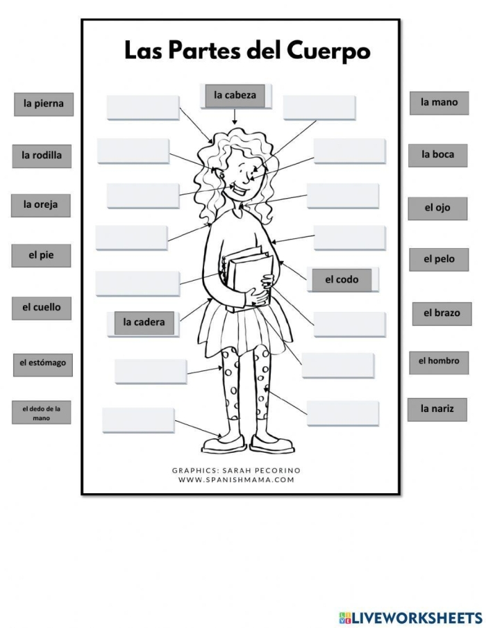 Interactive worksheet for learning body parts in Spanish, image 20 Body Parts in Spanish fill-in-the-blanks worksheet for fourth graders