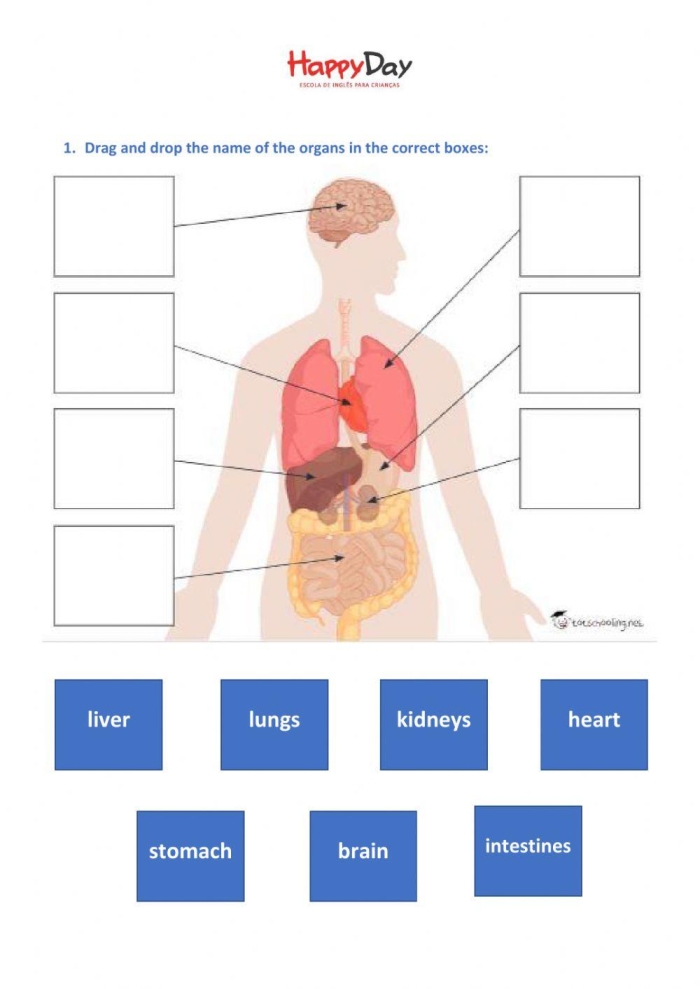 Worksheet featuring parts of the human body for first graders to enhance spelling and life science knowledge