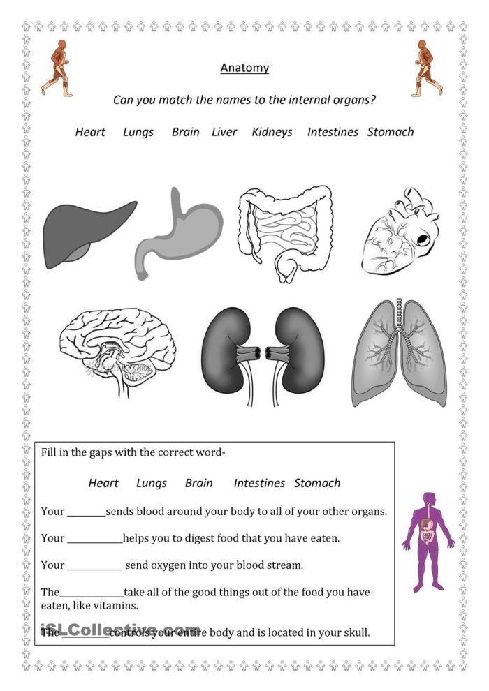 Life Science Crossword worksheet featuring body systems vocabulary definitions for third graders
