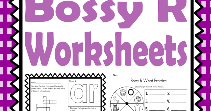 Image showcasing the Bossy R Sort worksheet for division practice in second grade Worksheet featuring the Bossy R Sort for second graders to categorize words by their bossy R sounds