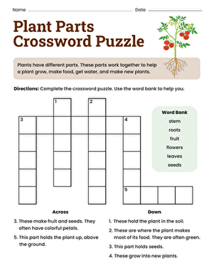 First grade student solving a Plant Parts Crossword Puzzle worksheet about botany