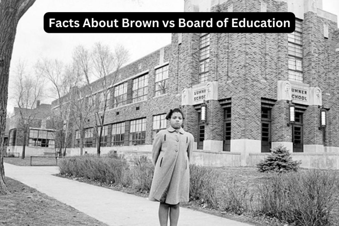 Brown vs. Board of Education worksheet for fourth graders illustrating the landmark decision and its aftermath