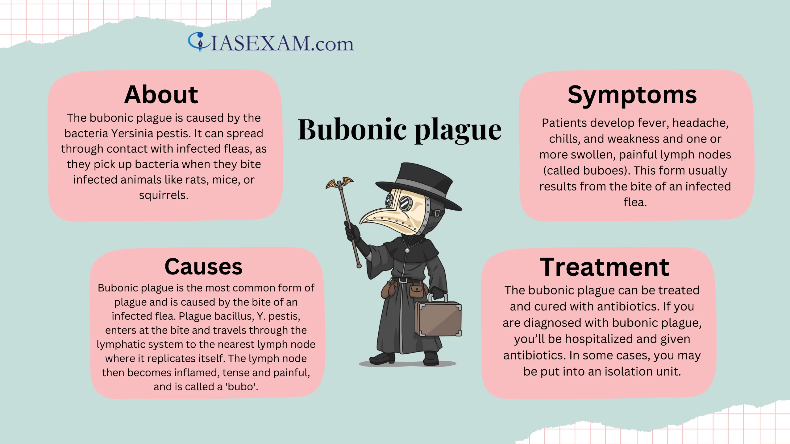 Bubonic Plague worksheet designed for sixth-grade students to explore historical events