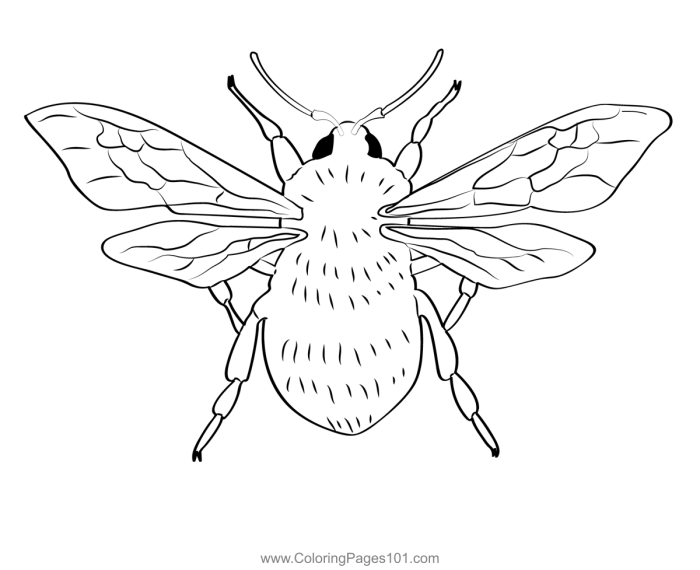 Happy Bumble Bee Nature Scene Coloring Worksheet for Young Learners Kindergarten student coloring a bumble bee and flowers in a nature scene for fraction learning