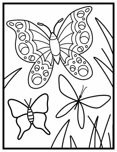 First Grade Butterfly Coloring Activity with Intricate Wing Designs Colorful butterflies with detailed wing patterns for first graders to color and decorate