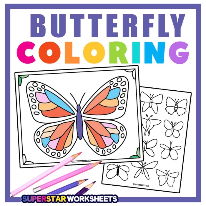 First Grade Butterflies Coloring Page Worksheet 24 Detailed butterfly species illustration for first grade Earth and Space Science coloring activity 24