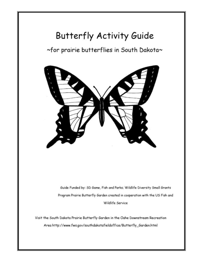 Colorful butterfly cutout template worksheet for arts and crafts in Spanish