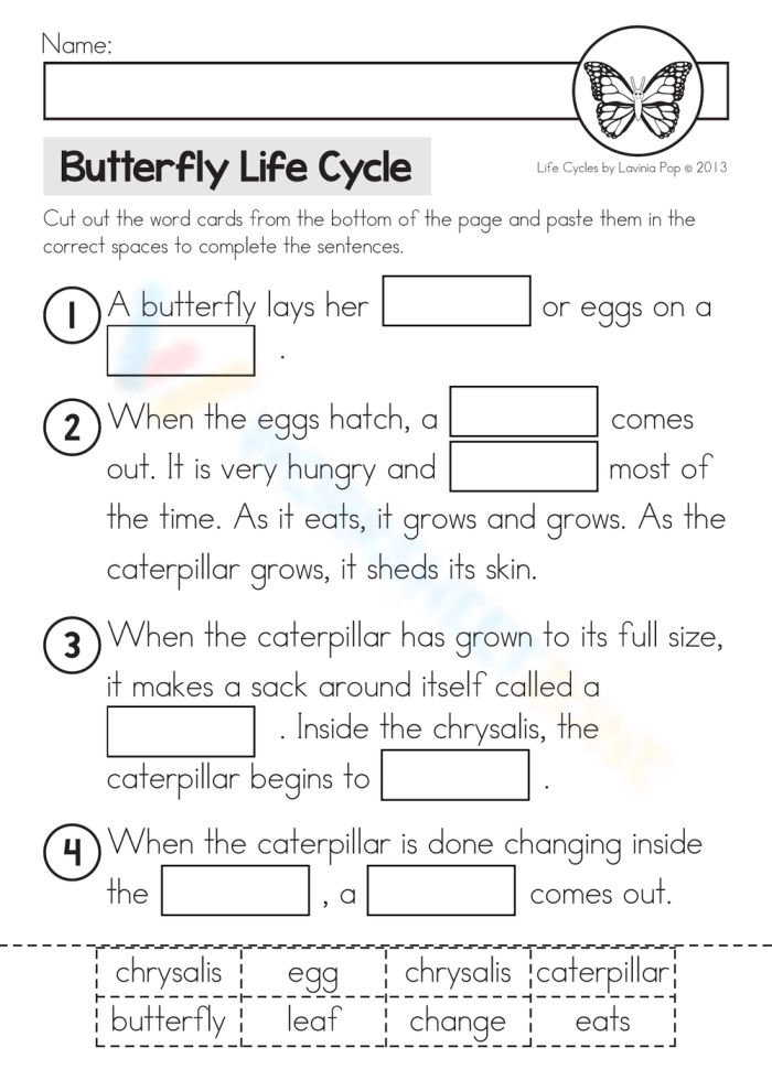 Detailed illustration of the four stages in the life cycle of a butterfly for educational purposes
