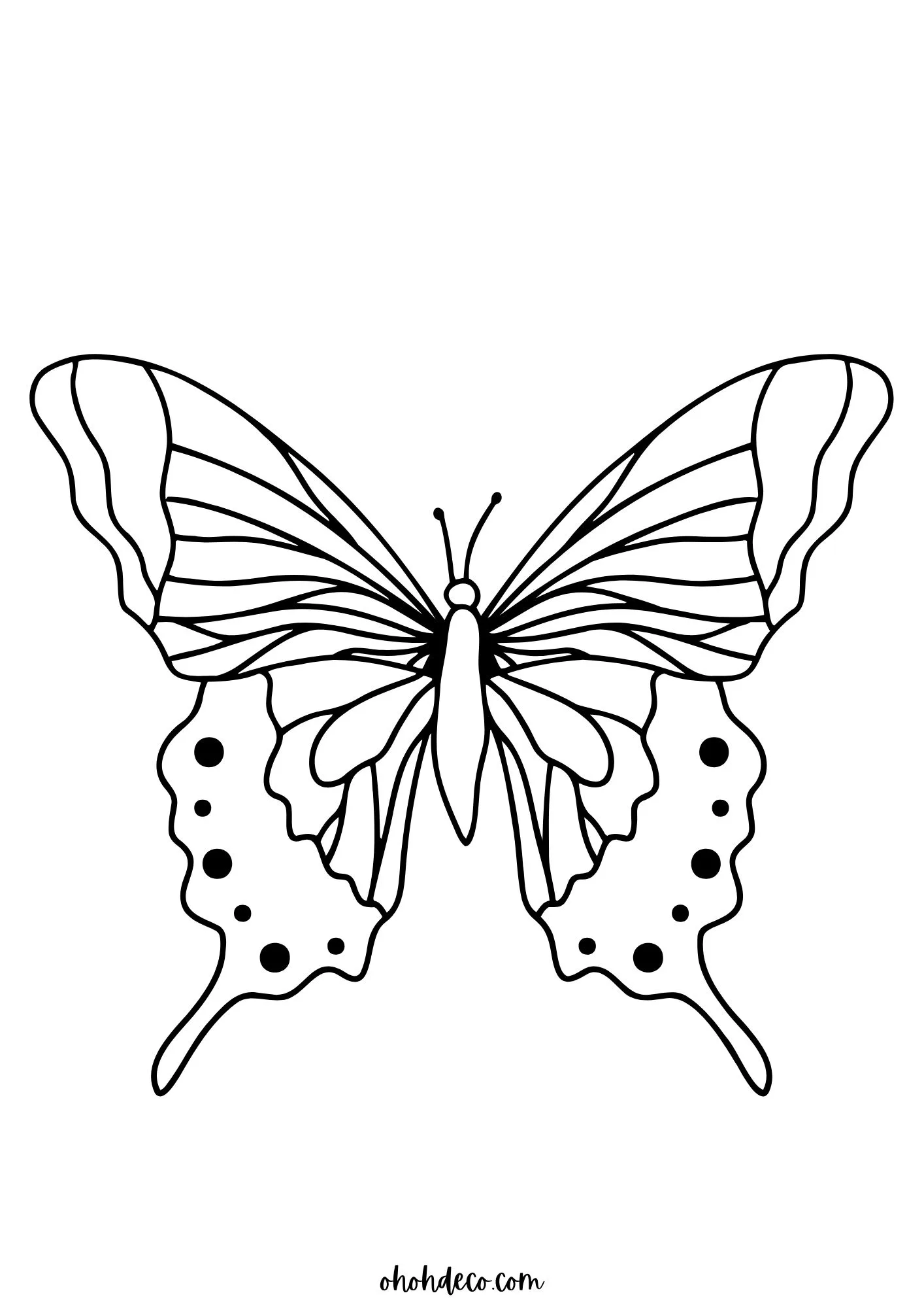 Beautiful butterflies coloring activity for young learners First grade butterfly coloring worksheet with detailed butterflies for creative practice