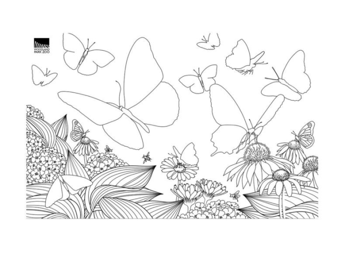Butterfly cutout template worksheet for arts and crafts activities in Spanish