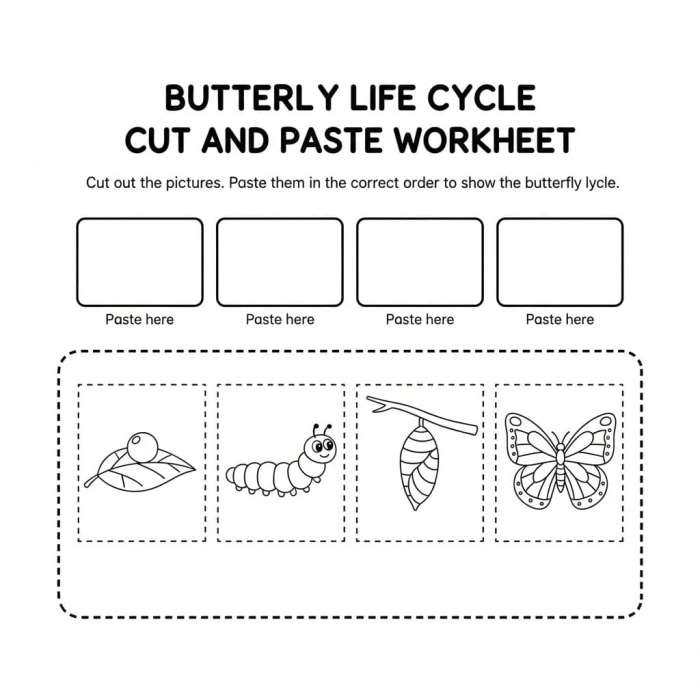 First grade student coloring worksheet showing the four stages of butterfly life cycle with labels for egg, caterpillar, chrysalis, and adult butterfly arranged in a circle
