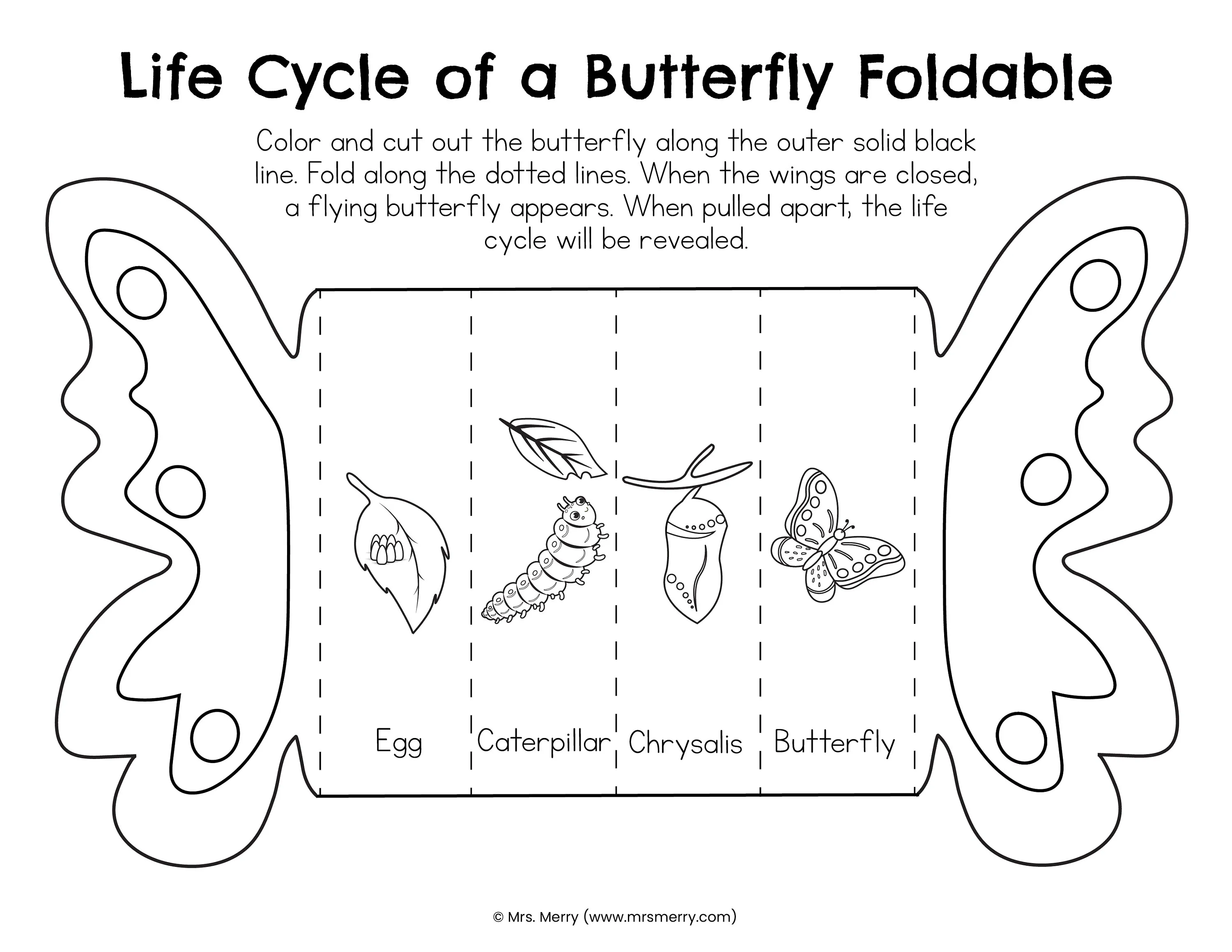 First grade worksheet featuring a butterfly life cycle diagram for students to color and label