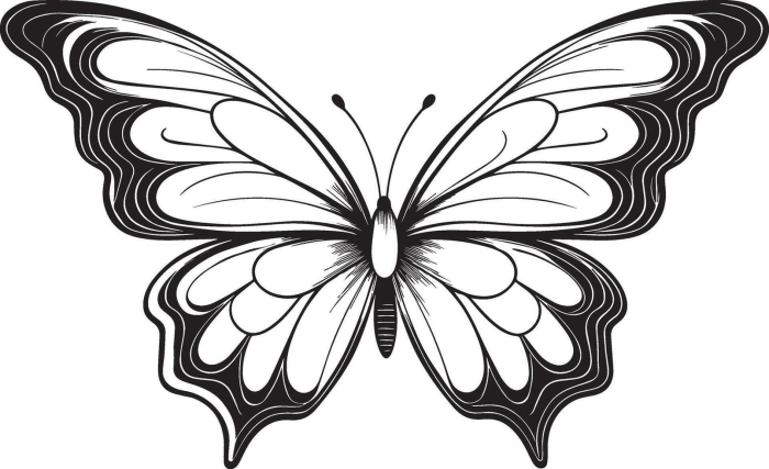 Make a Summary Butterflies Worksheet Lesson 12 Third grade students practice reading comprehension by writing a summary about the butterfly life cycle