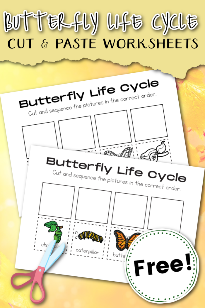 Second grade science worksheet illustrating the four distinct stages of a butterfly life cycle