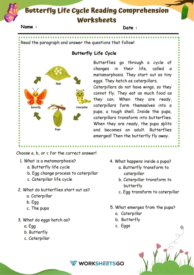 Engaging activity to enhance students' nonfiction text summarization skills Worksheet for summarizing butterfly life cycle vocabulary for third graders