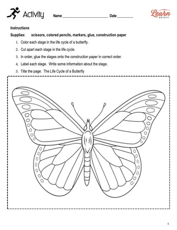 Butterfly life cycle vocabulary and summary worksheet for third grade students Third grade students filling out a butterfly life cycle summary worksheet