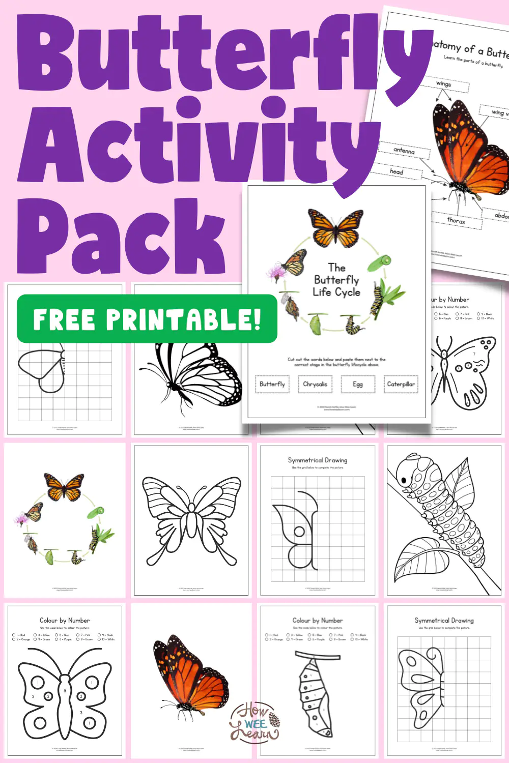 Engaging Fly, Butterfly, Fly! worksheet for young learners Children tracing curved paths for butterflies to fly in a Pre-K geometry worksheet