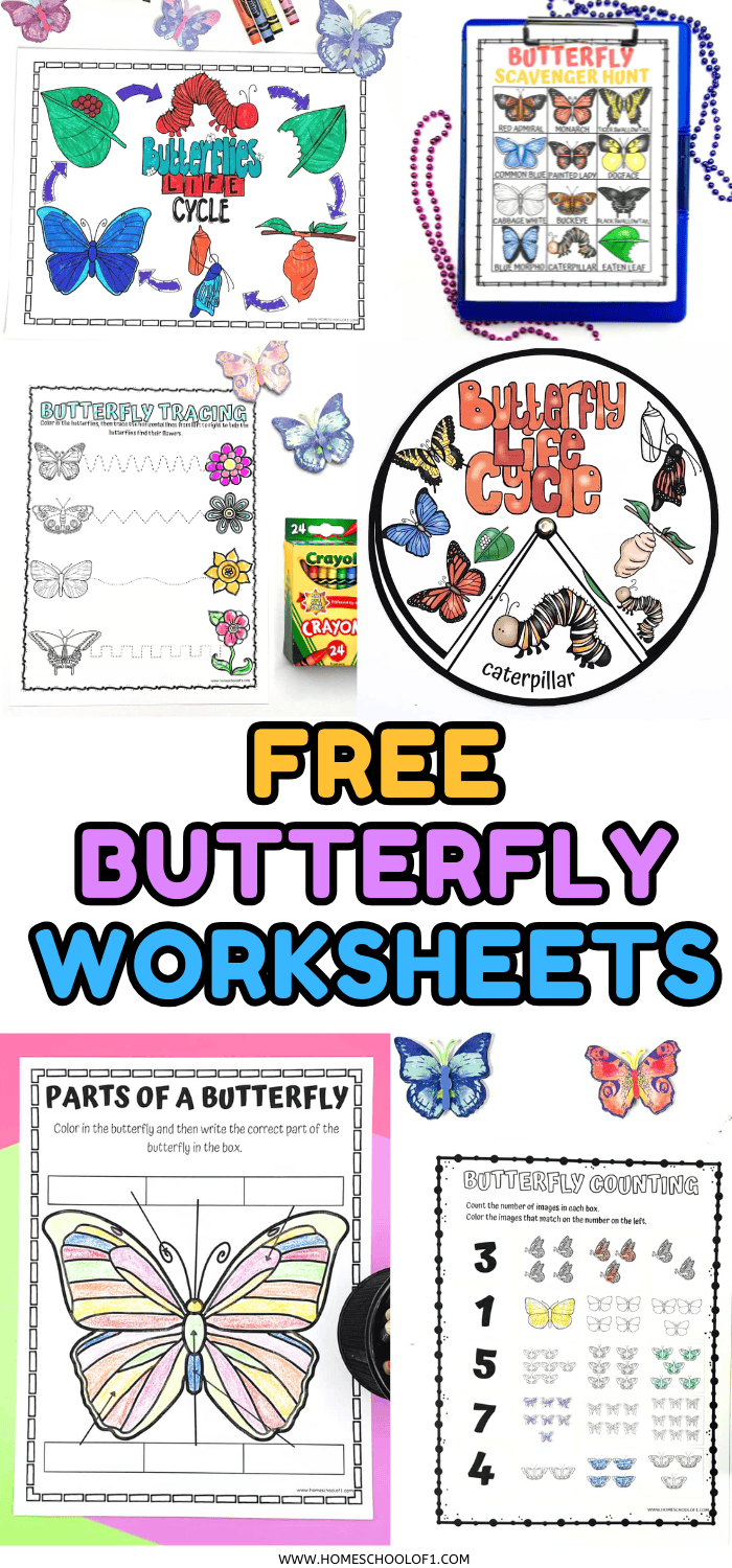 Fly, Butterfly, Fly! worksheet for Pre-K geometry practice Butterflies tracing curved lines to fly across the page